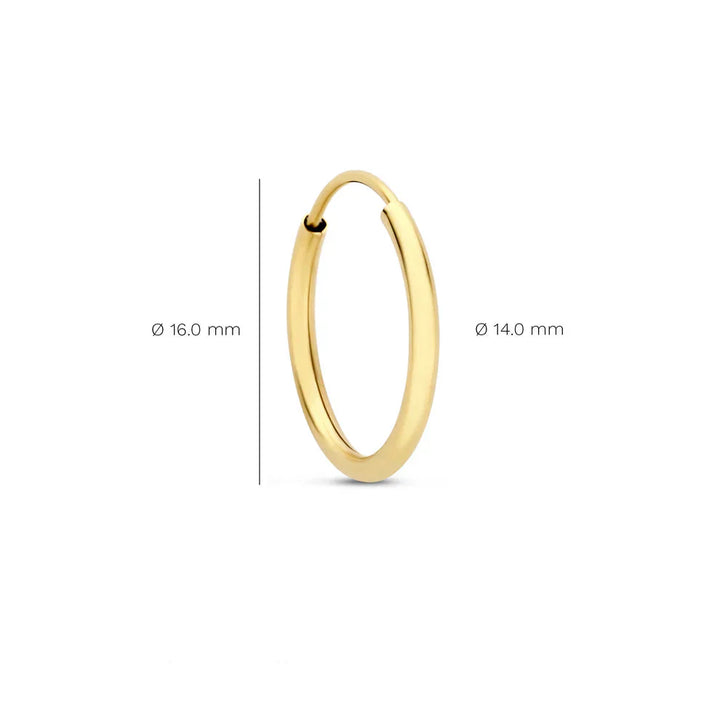 Noémie Sorel Earrings | Gold